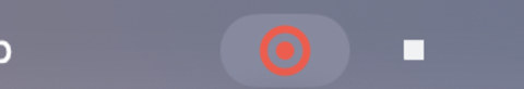 The menu bar icon